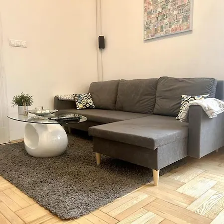 Modern Spacious Flat In Buda 公寓